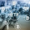 Bitcoin ETF options