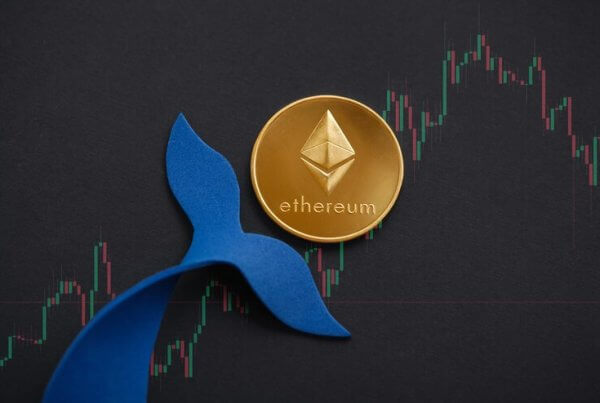 Ethereum holder statistics